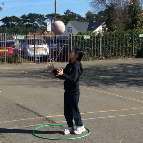 Y5 Sponsored Obstacle Course